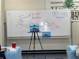 Orca Whale