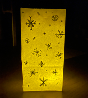 Luminary bag