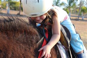 Horseback Riding: 4 one-hour lessons