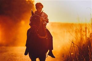 Horseback Riding: 4 half-hour lessons