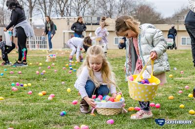 Eggs on ground Eggs on ground